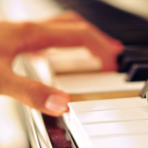 手机在线视频一区
