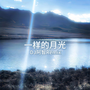 手机在线视频一区
