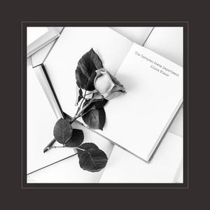 手机在线视频一区
